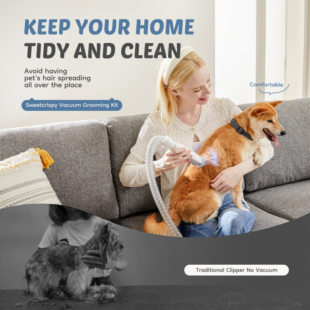 A person using a grooming vacuum attachment on a dog while seated on a sofa